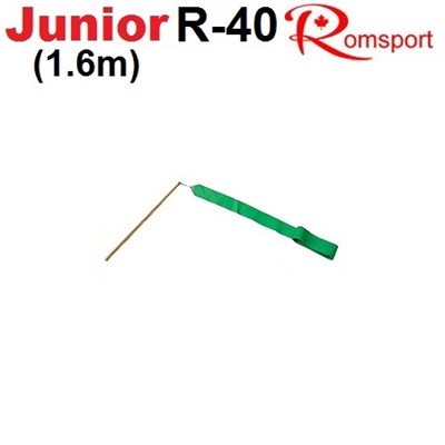 Romsport Ensemble Ruban Vert (1.6m x 4cm) & Bâton (30 cm) Performance R-40