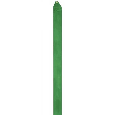Romsports Green Satin Ribbon (5cm x 6m) R-48R