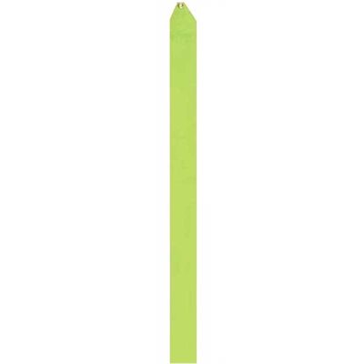 Romsports Light Green Satin Ribbon (5cm x 6m) R-48R