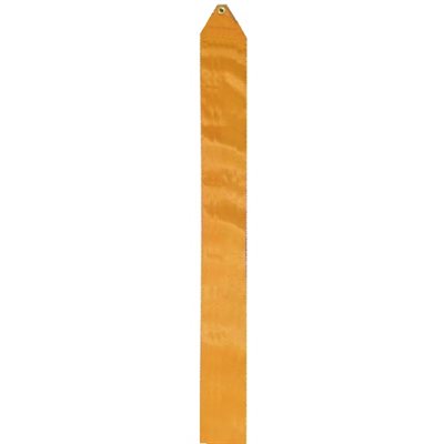 Romsports Orange Satin Ribbon (5cm x 6m) R-48R