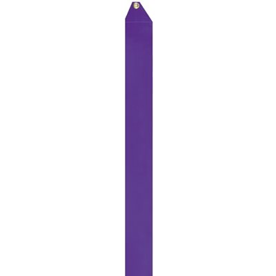 Romsports Violet Satin Ribbon (5cm x 6m) R-48R