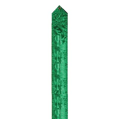 Romsports Verde Cinta Metálico (3.65 m x 9 cm) RR-170 (3 semanas de entrega)